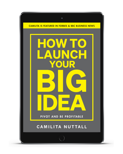 HOW TO LAUNCH YOUR BIG IDEA | EBOOK