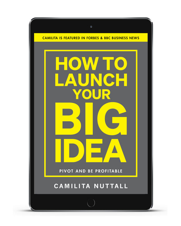 HOW TO LAUNCH YOUR BIG IDEA | EBOOK